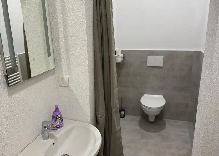 Apartmaji Despotoski * Mojstrana